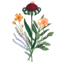 WN Bouquet