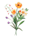 WN Bouquet