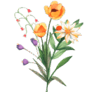 WN Bouquet 5 WN Bouquet