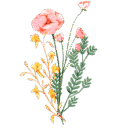 WN Bouquet