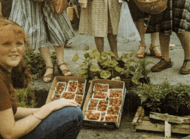market-stall Market stall