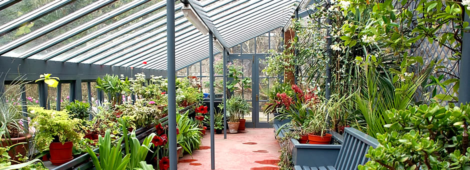 We offer a wide range of Gardening Equipment Products for the amateur and the serious gardener including Poly-tunnels & Glasshouses, Automatic watering systems, Soil, Sand and Mulch and much more. ...